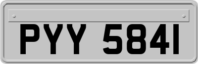 PYY5841