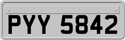 PYY5842