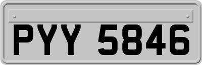 PYY5846