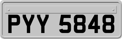 PYY5848