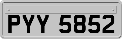 PYY5852