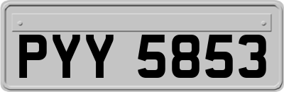 PYY5853
