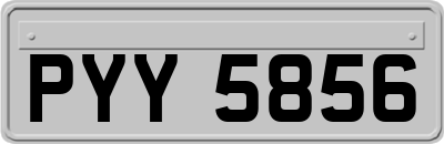 PYY5856