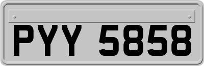 PYY5858