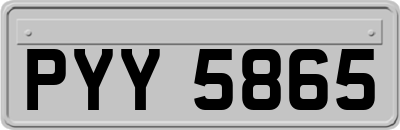 PYY5865