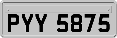 PYY5875