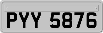 PYY5876