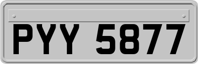 PYY5877