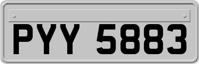 PYY5883