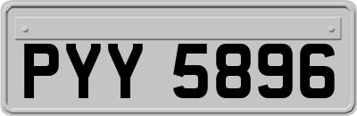 PYY5896