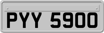 PYY5900