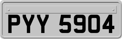 PYY5904