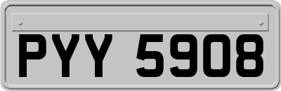 PYY5908