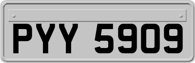 PYY5909