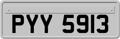 PYY5913