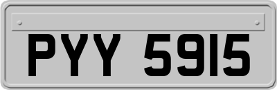 PYY5915