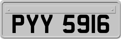 PYY5916