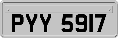 PYY5917