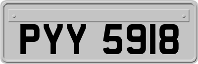 PYY5918