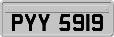 PYY5919