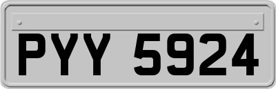 PYY5924