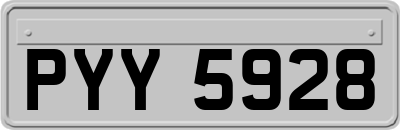 PYY5928
