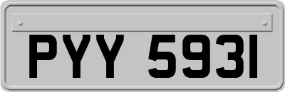 PYY5931