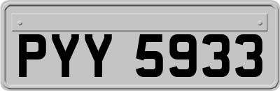 PYY5933