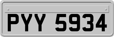 PYY5934