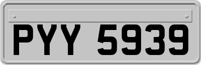 PYY5939