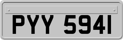PYY5941