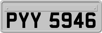PYY5946