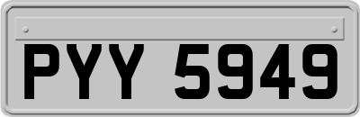 PYY5949