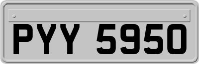 PYY5950