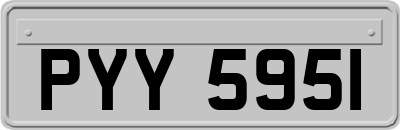 PYY5951