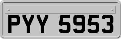 PYY5953
