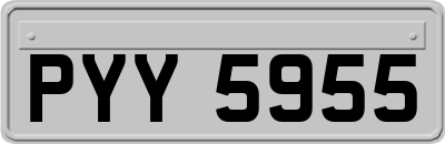 PYY5955