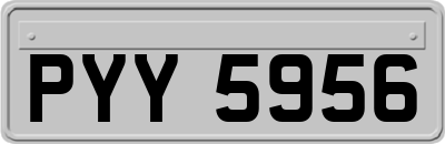 PYY5956