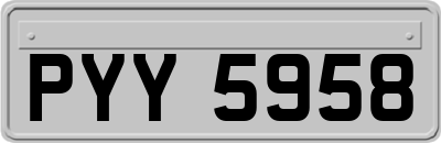 PYY5958