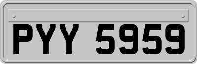 PYY5959