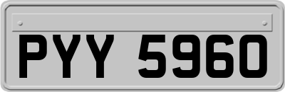 PYY5960