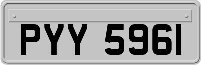 PYY5961