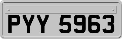 PYY5963