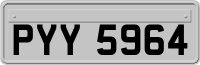 PYY5964