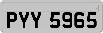 PYY5965