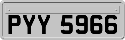 PYY5966