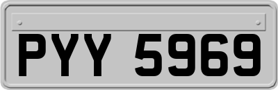 PYY5969