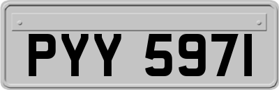 PYY5971