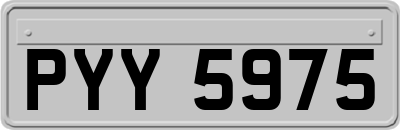 PYY5975