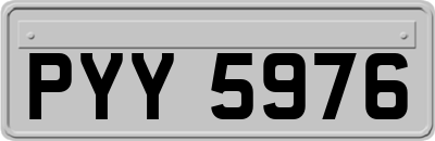 PYY5976